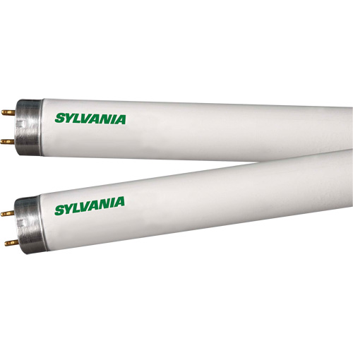 Lampes fluorescentes, 32 W, T8, 4100 K, Longueur de 48" Equipex
