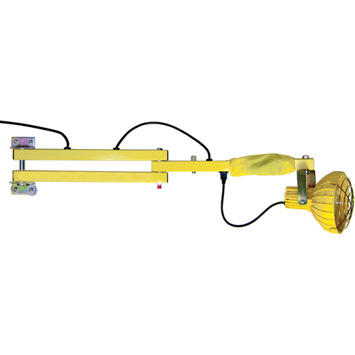 Lampes avec bras flexible pour quais, Ampoule Incandescente, Bras 60" Equipex