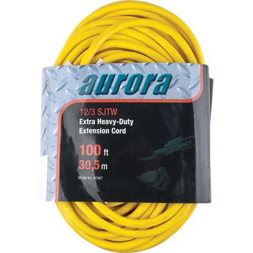 Vinyl Extension Cord, Outdoor, SJTW, 12/3 AWG, 15 A, 100' Equipex