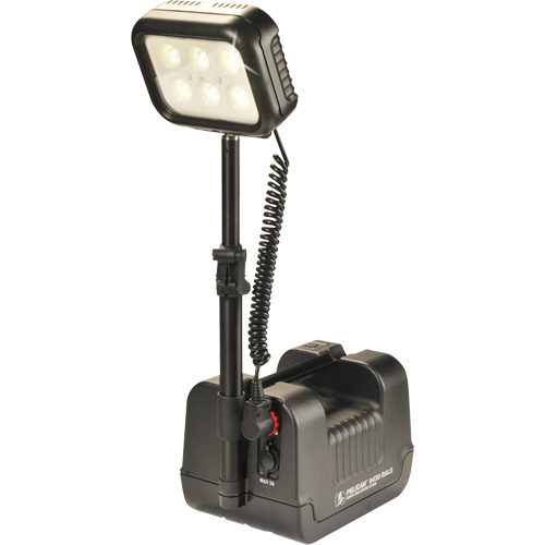 9430 Remote Area Lighting Systems, LED, 3000 Lumens, Plastic Housing Equipex