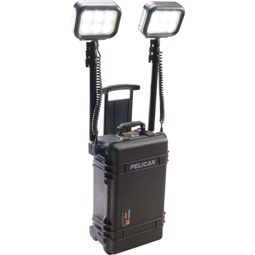 Syst&egrave;mes d'&eacute;clairage pour zones recul&eacute;es 9460, DEL, 12 000 lumens, Boîtier en Plastique Equipex