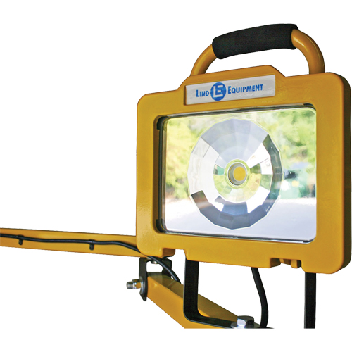 Heavy-Duty Dock Light, 40" Arm, 38 W, LED Lamp, Metal Equipex