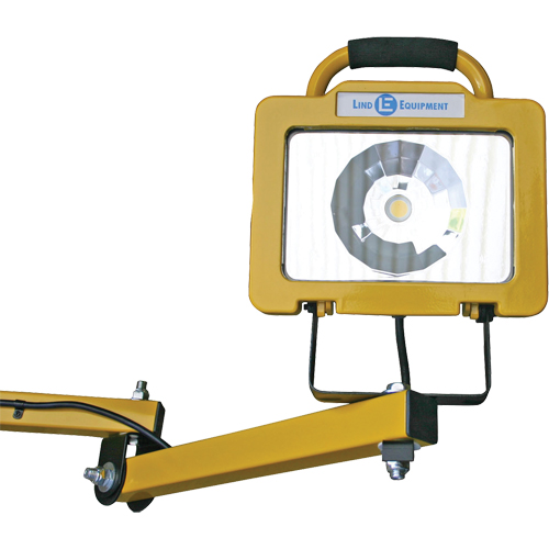 Heavy-Duty Dock Light, 40" Arm, 38 W, LED Lamp, Metal Equipex
