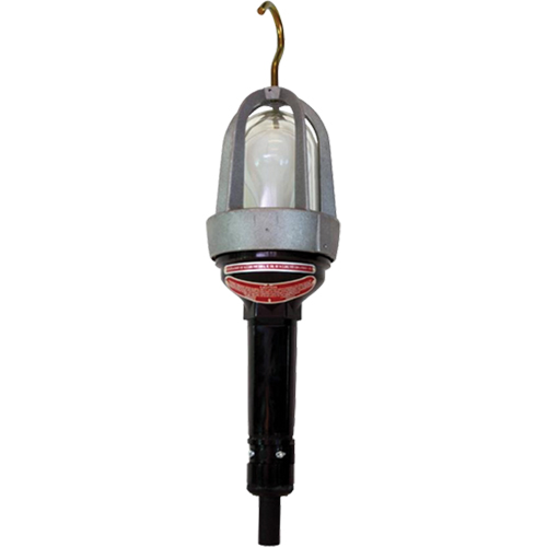 Baladeuses pour emplacements dangereux, DEL, 20 W, 2400 Lumens Equipex