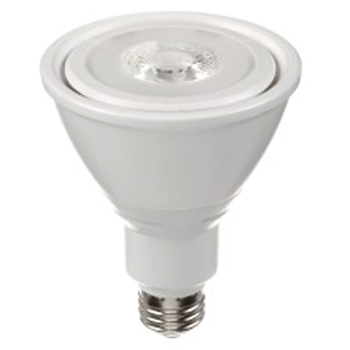LED Bulb, PAR30, 10 W, 800 Lumens, Medium Base Equipex