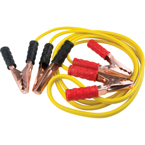 C&acirc;ble de survoltage, 8 AWG, 150 A, C&acirc;ble 10' Equipex