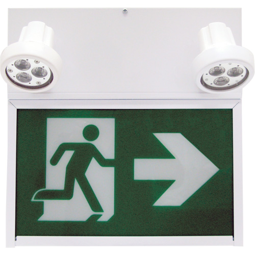 Running Man Exit Sign, LED, Battery Operated/Hardwired, 12" L x 12 1/2" W, Pictogram Equipex
