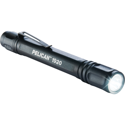 1920 ProGear Flashlights, LED, 120 Lumens, AAA Batteries Equipex