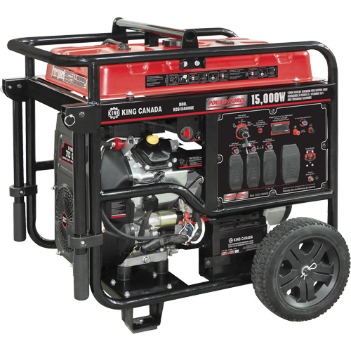 V-Twin Gasoline Generator, 15000 W Surge, 12500 W Rated, 120 V/240 V, 40 L Tank Equipex