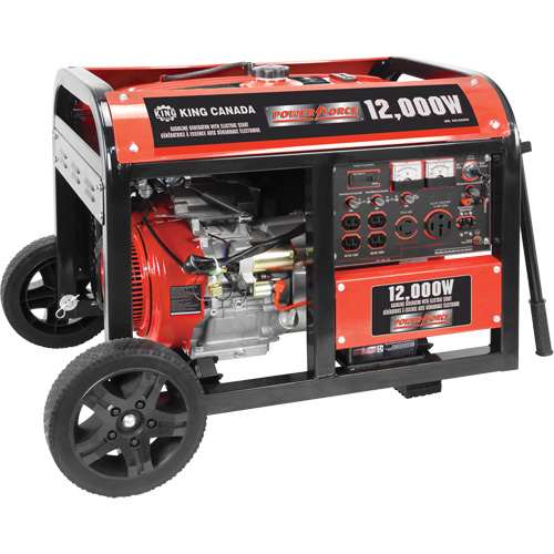 Electric Start Gas Generator with Wheel Kit, 12000 W Surge, 9000 W Rated, 120 V/240 V, 31 L Tank Equipex