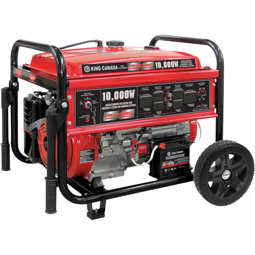 Gasoline Generator with Electric Start, 10000 W Surge, 7500 W Rated, 120 V/240 V, 25 L Tank Equipex