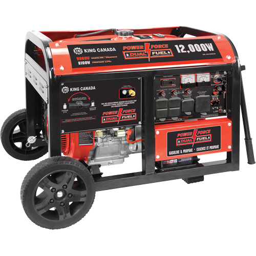 Gasoline/Propane Generator with Electric Start Equipex