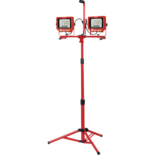 Baladeuses jumel&eacute;es avec tr&eacute;pied, DEL, 40 W, 6000 lumens, Boîtier en Aluminium Equipex