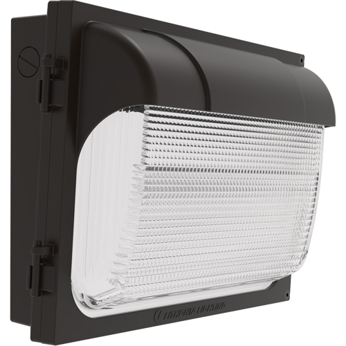 TWX Wall Luminaire, LED, 480 V, 9 W - 54 W, 14" H x 18" W x 5" D Equipex