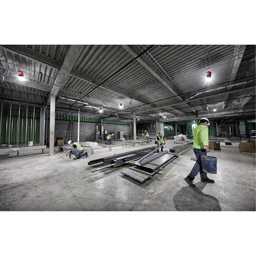 RADIUS Temporary Site Light, LED, 130 W, 15000 Lumens Equipex