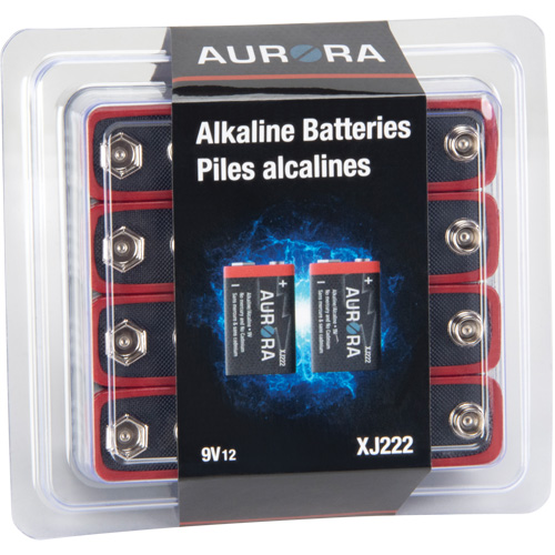 Piles alcalines industrielles, 9 V Equipex
