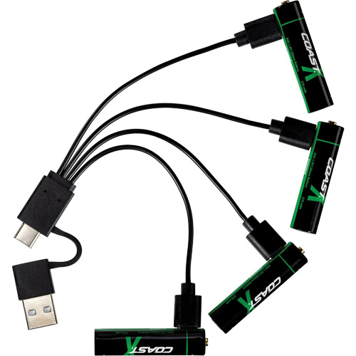 Zithion-X&reg; AAA Rechargeable Batteries Equipex