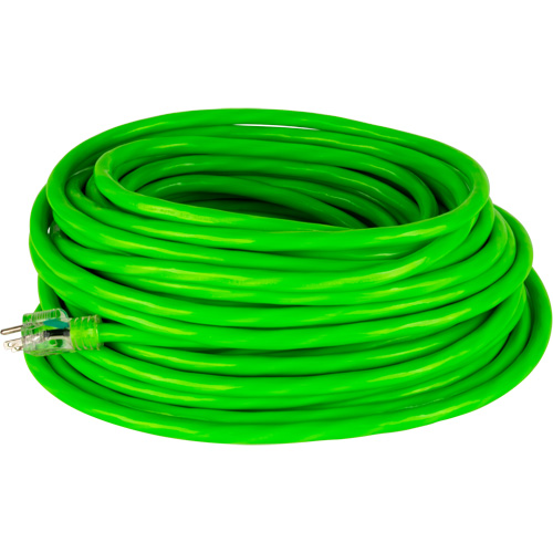 Cordon rallonge de calibre industriel, Toutes saisons, SJTW, AWG 10/3, 15 A, 100' Equipex