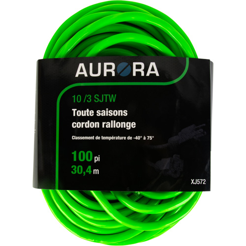 Cordon rallonge de calibre industriel, Toutes saisons, SJTW, AWG 10/3, 15 A, 100' Equipex