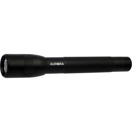 IPX4 Flashlight, 100 Lumens, AA Batteries Equipex