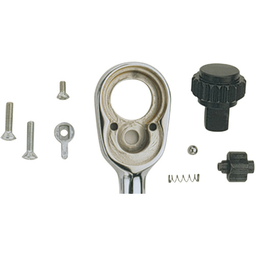 Ratchet Repair Kit Equipex