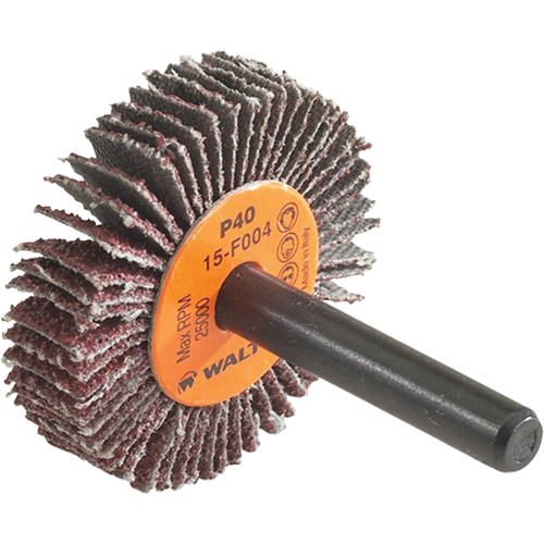 Disque &agrave; lamelles Coolcut, Oxyde d'aluminium, Grain 60, 1-1/2" x 3/8" x 1/4" Equipex