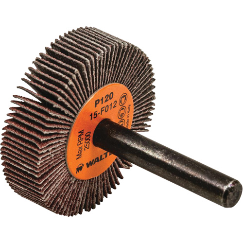 Disque &agrave; lamelles Coolcut, Oxyde d'aluminium, Grain 120, 1-1/2" x 3/8" x 1/4" Equipex