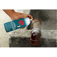 3&reg; Premier Rust Inhibitor, Aerosol Can Equipex