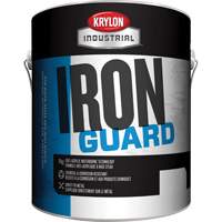 Industrial Iron Guard&reg; Water-Based Enamel, 3.78 L, Gallon, Red Equipex