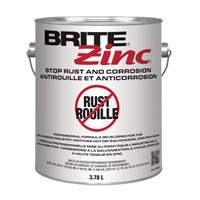 Inhibiteur de corrosion BRITE Zinc, Gallon Equipex