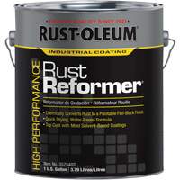 High-Performance 3575 System Rust-Reformer&reg;, Gallon Equipex