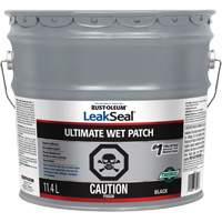 LeakSeal&reg; Ultimate Wet Roof Patch Equipex