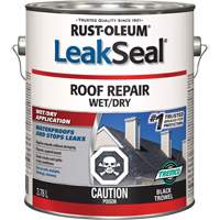 LeakSeal&reg; Wet/Dry Roof Repair Equipex