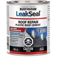 LeakSeal&reg; Wet/Dry Roof Repair Equipex