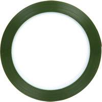 Polyester Tape, Polyester, 25.4 mm (1") W x 66 m (216') L, 1.9 mils Thick Equipex