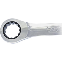 Non-Reversing Ratcheting Combination Wrench Equipex