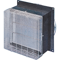 Fan Guard 12"  Front Equipex