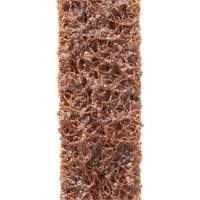 Scotch-Brite Surface Conditioning File Belts Equipex