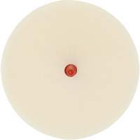 Scotch-Brite Moulding Adhesive & Stripe Removal Disc, 7501, 4" Dia. Equipex