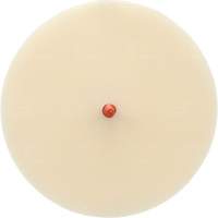 Scotch-Brite Moulding Adhesive and Stripe Removal Disc 7502, 6" Dia. Equipex