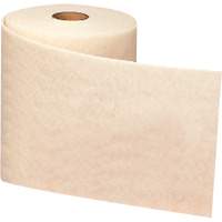 Ruban de nettoyage et de finition Scotch-Brite, Tr&egrave;s fin, Oxyde d'aluminium, 4" la x 30' lo Equipex