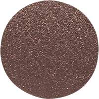 Disque de ponçage pour le bois, 12" dia., Grain 80 Equipex