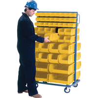 Double-Sided Mobile Bin Rack, Double-sided, 96 bins, 36" W x 24" D x 63" H Equipex