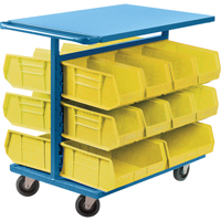 Bin Cart with Bins, Double-sided, 20 bins, 24" W x 38-1/2" D x 36-1/2" H Equipex