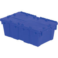 Flipak&reg; Polyethylene Plastic (PE) Distribution Containers, 19.7" x 11.8" x 7.3", Blue Equipex