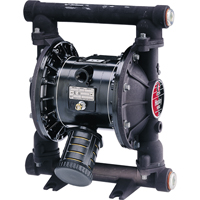 Diaphragm Pumps - 1" Diaphragm Pumps, 50 gpm Equipex