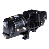Pompe &agrave; jet en fonte &agrave; double tension pour puit peu profond, 230 V, 710 gal./h, 1/2 CV Equipex