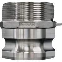 Cam & Groove Coupling, Stainless Steel, Type F, 3/4", Male NPT, 250 PSI Equipex
