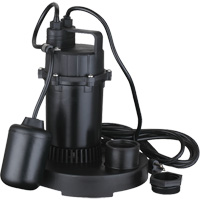 Thermoplastic Submersible Sump Pump, 2560 GPH, 115 V, 4.6 A, 1/3 HP Equipex