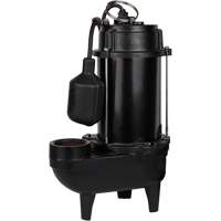 Cast Iron Effluent Pump, 4800 GPH, 120 V, 7.8 A, 1/2 HP Equipex
